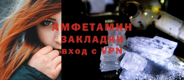 крисы Каменногорск
