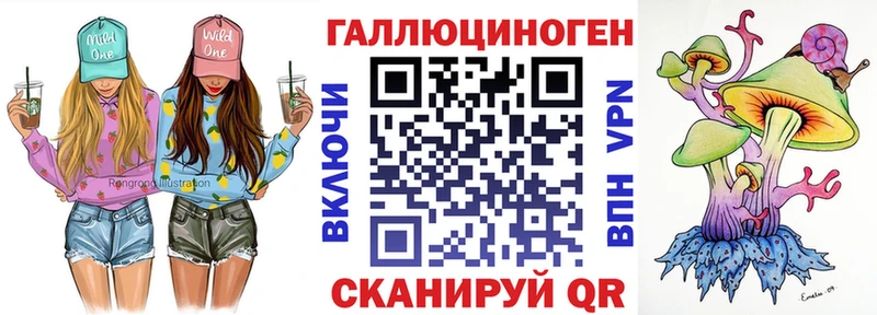где можно купить наркотик Кочубеевское Псилоцибиновые грибы Cubensis